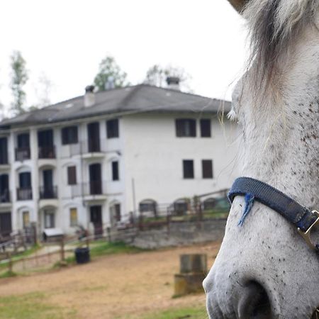 مبيت وإفطار Rueglio Favetto Family Ranch المظهر الخارجي الصورة