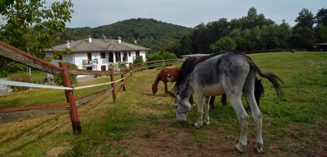 مبيت وإفطار Rueglio Favetto Family Ranch المظهر الخارجي الصورة