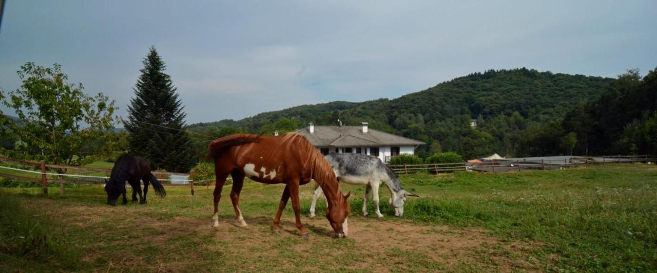 مبيت وإفطار Rueglio Favetto Family Ranch المظهر الخارجي الصورة