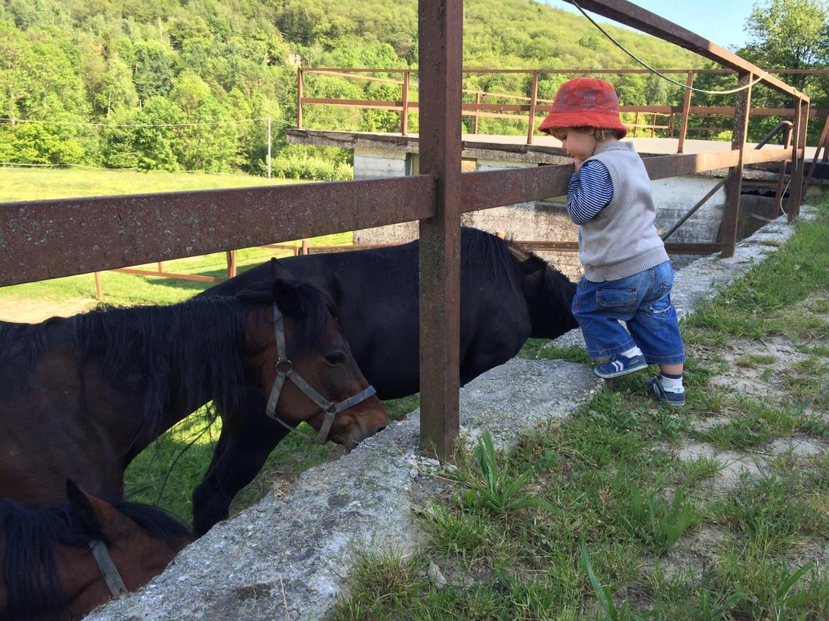 مبيت وإفطار Rueglio Favetto Family Ranch المظهر الخارجي الصورة